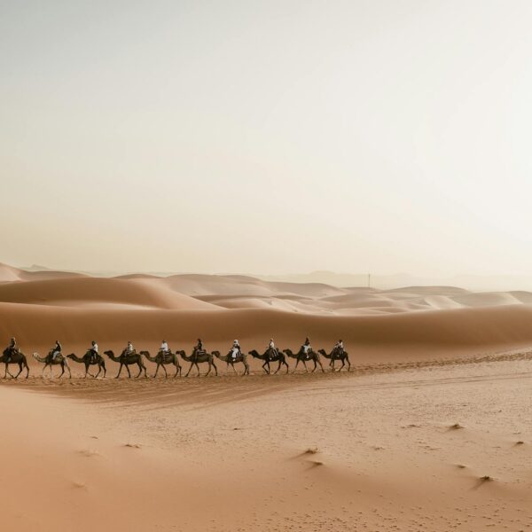 3 days from Marrakech to Fes desert tour